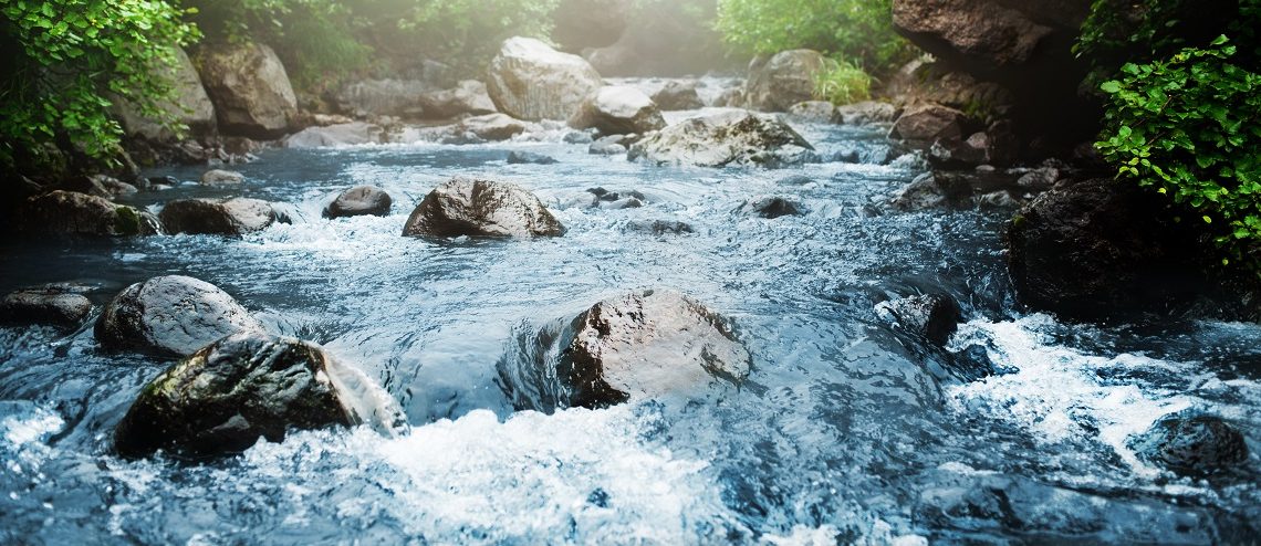 L’eau de Source est gratuite en France ! Alors pourquoi continuer à polluer ? L’eau de Source est gratuite en France ! Alors pourquoi continuer à polluer ?