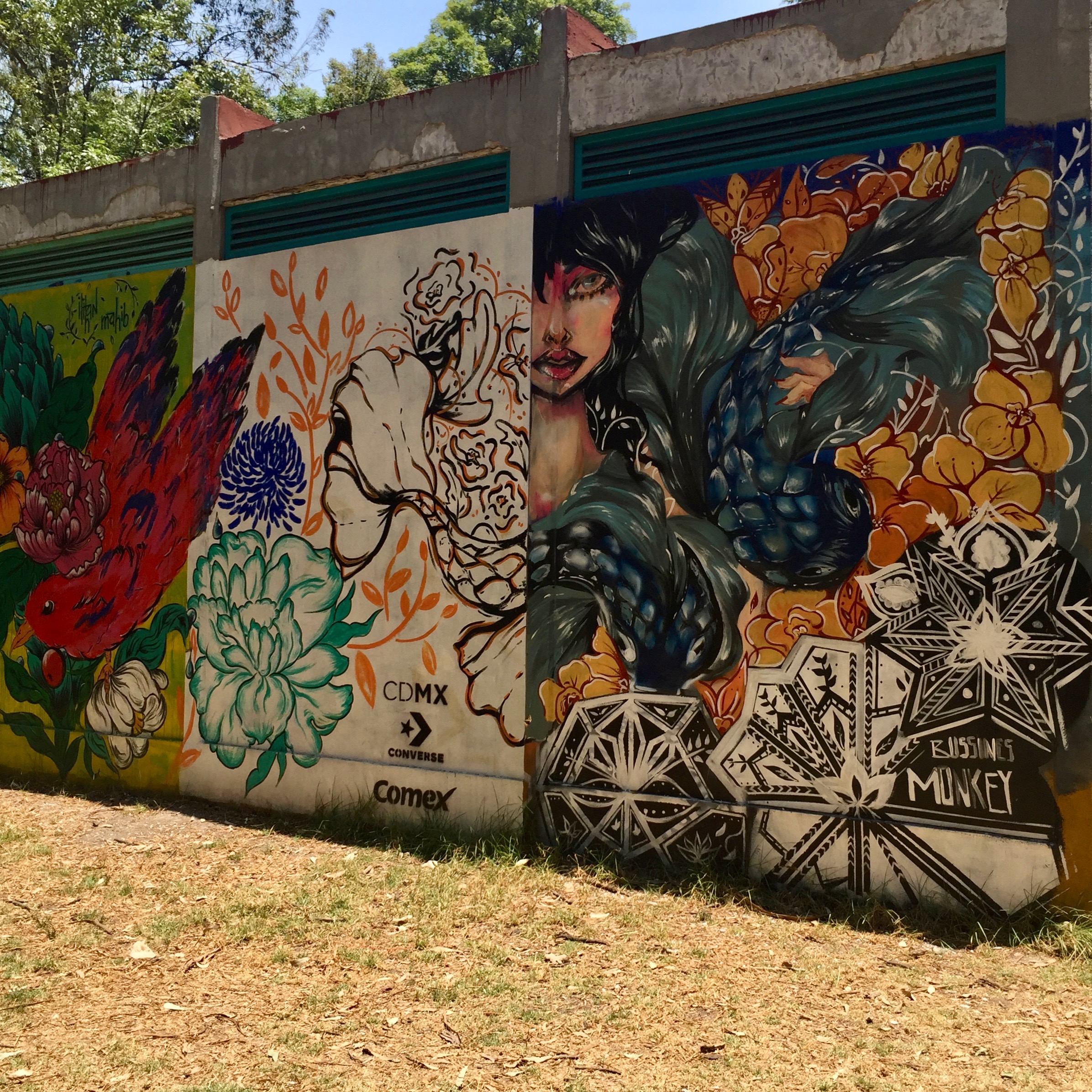 Mexico : The World Best City for Street Art ? - ALTINNOV